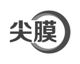 尖膜商标原图 第09类科学仪器