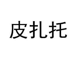 皮扎托商标原图 第09类科学仪器