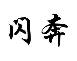 闪奔商标原图 第09类科学仪器