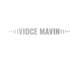 VIOCE MAVIN商标原图 第09类科学仪器