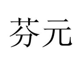 芬元商标原图 第09类科学仪器
