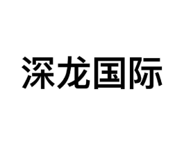 深龙国际商标原图 第09类科学仪器