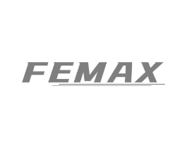 FEMAX商标原图 第09类科学仪器