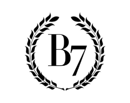 B 7商标原图 第09类科学仪器