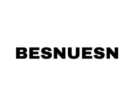 BESNUESN商标原图 第09类科学仪器