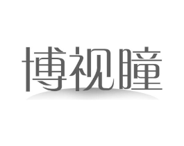 博视瞳商标原图 第09类科学仪器