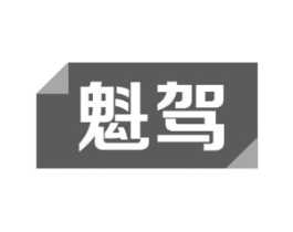 魁驾商标原图 第09类科学仪器