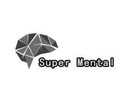 SUPER MENTAL商标原图 第09类科学仪器