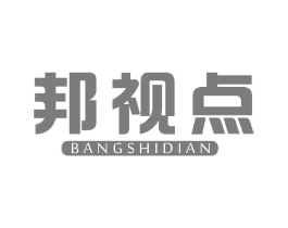 邦视点商标原图 第09类科学仪器