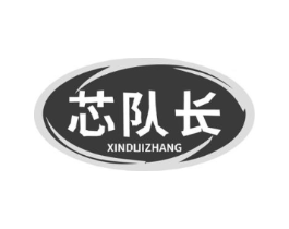 芯队长商标原图 第09类科学仪器
