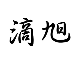 滴旭商标原图 第09类科学仪器