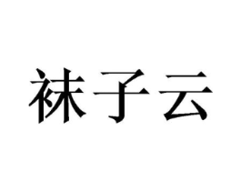 袜子云商标原图 第09类科学仪器