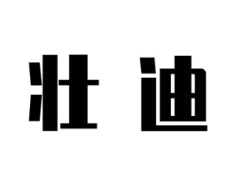 壮迪商标原图 第09类科学仪器