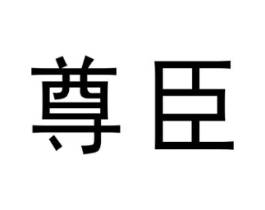 尊臣商标原图 第09类科学仪器