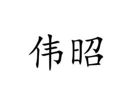 伟昭商标原图 第09类科学仪器