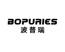 波普瑞 BOPURIES商标原图 第09类科学仪器