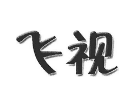 飞视商标原图 第09类科学仪器
