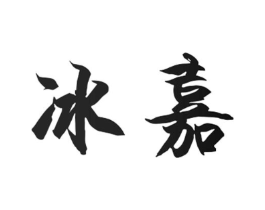 冰嘉商标原图 第09类科学仪器