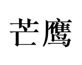 芒鹰商标原图 第09类科学仪器