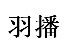 羽播商标原图 第09类科学仪器