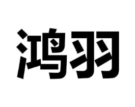 鸿羽商标原图 第09类科学仪器