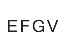 EFGV商标原图 第09类科学仪器