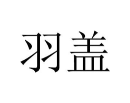 商标原图