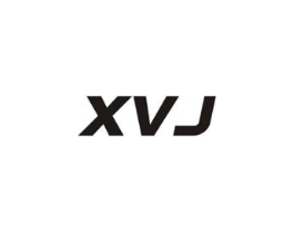 XVJ商标原图 第09类科学仪器