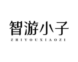 智游小子商标原图 第09类科学仪器