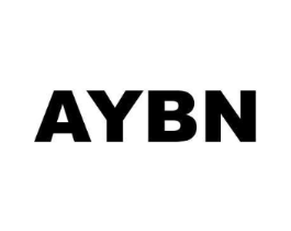 AYBN商标原图 第09类科学仪器