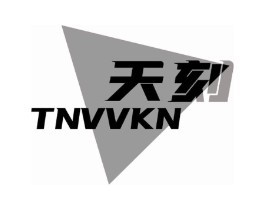天刻 TNVVKN商标原图 第09类科学仪器