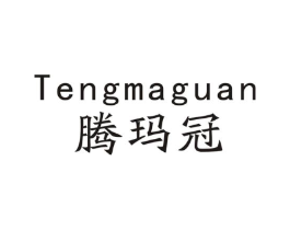 腾玛冠商标原图 第09类科学仪器